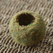 Bolas de musgo de kokedama bola de musgo japonês com sementes de musgo personalidade pequeno ventilador vaso de flores para orquídea e bonsai 2024 - compre barato
