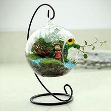 Soledi vaso de 10cm para plantas hidropônicas, modelo vintage redondo para plantas, vaso transparente e decoração para bonsai 2024 - compre barato