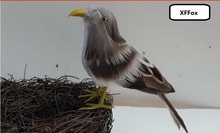 Nova simulação bonito modelo de polietileno & peles & bird nest sparrow boneca presente sobre 13 cm xf0380 2024 - compre barato