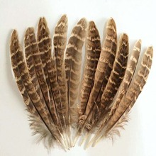 Free shipping 10 pcs natural 10-15 cm/4-6inches pheasant beautiful feathers 2024 - buy cheap