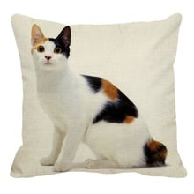 XUNYU-almohada para gato de cola corta, 45cm x 45m, japonesa, algodón y lino, cómoda, para decoración del coche, YH028 2024 - compra barato