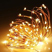 1M LED String Light Copper Wire LED Light Waterproof String LED For Flower Potted plants Wedding Christmas Decoration 2024 - buy cheap
