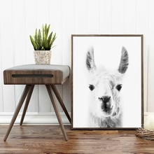 Llama Wall Art Canvas Posters Prints Llama Peekaboo Photography Painting Black White Animal Picture for Home Living Room Decor 2024 - buy cheap