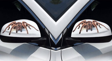 Adesivo de carro 3d de animais pára-choque, spider gecko escorpiões para ssangyong tivoos xlv kyron actyon korando rexton rodius 2024 - compre barato