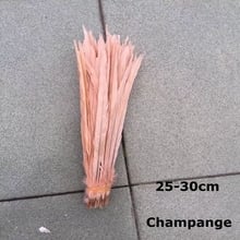 Price of 100pcs Champagne Pink natural real ringneck pheasant tail Feathers 25-30cm 10-12" long diy chicken plumes craft decor. 2024 - buy cheap