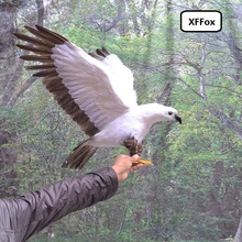 big simulation white eagle model foam&feather gray wings eagle bird toy gift about 90x45cm xf0761 2024 - buy cheap
