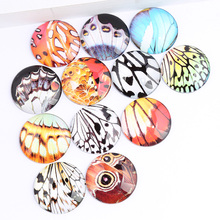 reidgaller 50pcs mix butterfly winge photo round glass cabochon 12mm 16mm diy flatback handmade jewelry findings for earrings 2024 - buy cheap
