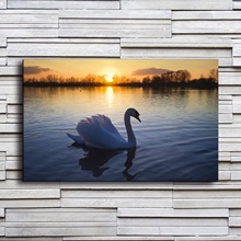 Картина на холсте, домашний декор, 1 шт., красивый Лебедь на озере на закате, постер для гостиной, настенное искусство, фоновые картины в рамке 2024 - купить недорого