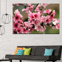 Lienzo HD impreso imágenes Marco de arte de pared 3 piezas flor de ciruelo Rosa póster Modular flores de melocotón pintura decoración del hogar 2024 - compra barato