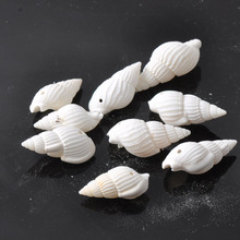 White Natural Spiral Seashell with One Hole Craft  Accessories for Scrapbooing Home Decoration Handmade 100pcs 12x22mm TRS0045 2024 - buy cheap