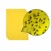 10pcs Strong Flies Traps Bugs Sticky Board Catching Aphid Insects Pest Killer Outdoor Fly Trap for Aphids Fungus GnatsLeaf 2024 - buy cheap