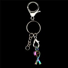 Y-C285 Metal Keychains Rainbow Ribbon Sign Beads Cage Lobster Clasps Key Rings DIY Jewelry Making chaveiro 2024 - buy cheap