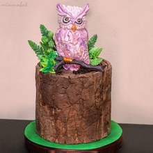 minsunbak Owl Silicone Fondant Mould  DIY Birthday Cake Decoration Tools  Exquisite kitchen Accessories 2024 - buy cheap