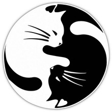 15*15CM Yin And Yang Cat Automobile Styling Decorative Decal Personalized Car Window Glass Sticker C6-0301 2024 - buy cheap