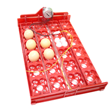 DIY 96 Eggs Bird Incubator Egg Rack Tray automatic 24 Egg Incubator Quail Parrot Incubation Tool Size 43 * 28 cm 2024 - buy cheap