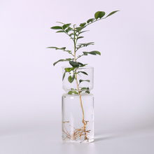 Hyacinth Glass Flower Vase Micro Landscape Fairy Garden DIY Terrarium Desk Decor 2024 - buy cheap