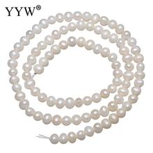 YYW Cultured Potato Freshwater Pearl Beads Natural White 4-5mm Approx 0.8mm Sold Per Approx 14.5 Inch Strand 2024 - buy cheap