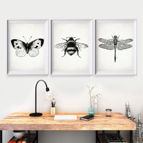 Insect Dragonfly Art Canvas Posters Painting Butterfly And Bumble Bee Pictures Print Nursery Kids Bedroom Wall Decoration Buy Cheap In An Online Store With Delivery Price Comparison Specifications Photos And Customer