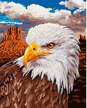 MaHuaf-X1219 Schipper Bald eagle painting by numbers hand painted coloring by numbers on canvas Wall Pictures for Living Room 2024 - buy cheap
