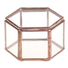 Terrario-caja de cristal para joyería, maceta con forma hexagonal, para plantas suculentas 2024 - compra barato
