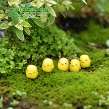 10 pçs musgo micro-paisagem decoração, make-up cartoon mini-amarelo frango suculento acessório. 2024 - compre barato