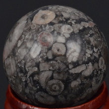 Free Shipping Natural Gemstone 29MM Crinoid Fossil Jasper Sphere Crystal Ball Chakra Healing Reiki Carving Crafts  With Stand 2024 - buy cheap