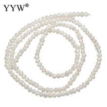 Natural Freshwater Pearl Loose Beads white 2.1mm Approx 0.8mm Sold Per Approx 15 Inch Strand 2024 - buy cheap