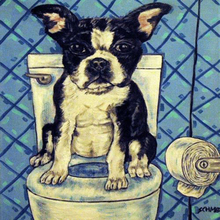 5d Diy Diamond Painting Boston terrier dog Full Square ROUND Rhinestones Cross Stitch Diamond Embroidery Mosaic toilet wc decor 2024 - buy cheap