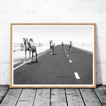 Camel Desert Animal Photo Canvas Art Prints Poster Boho Camels On The Road Painting Black White Picture Nursery Wall Art Decor 2024 - buy cheap