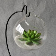 Vaso de parede de vidro transparente, para decoração de plantas, para sala de estar, jardim, recipiente para plantas 1 peça 2024 - compre barato