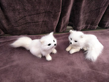 Um par de pequeno bonito simulação branco resina & pele de raposa do brinquedo encantador boneca raposa presente de cerca de 11-12 cm 1313 2024 - compre barato
