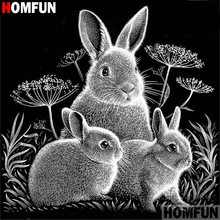 HOMFUN-pintura de diamante 5D DIY "Animal rabbit", bordado 3D, regalo de punto de Cruz, decoración para el hogar, A01251 2024 - compra barato