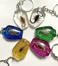 YQTDMY Dozen Real Scorpion Keychain/Keyring in Mixed Colorful Artificial  Resin Scorpion key-chains 2024 - buy cheap