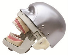 Стоматологический симулятор манекен, фантомная головка, демонстрация, практичные упражнения 2024 - купить недорого
