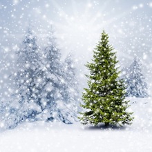 Green Xmas Pine Tree White Snow Tree Winter Photography Backdrops Snowy World Christmas Children Photo Background 150cm*200cm 2024 - buy cheap