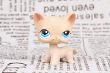 New Pet Collection Figure LPS #228 European Cat Shorthair Tan White Blue Eyes Figure Kids Toys 2024 - buy cheap