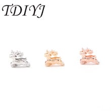 TDIYJ-dijes deslizantes de ciervo en trineo para mujer, pulseras de malla de acero inoxidable de 10mm, joyería para mujer, 12 Uds./lote 2024 - compra barato