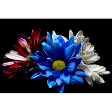 Pintura de diamantes cuadrados 5D DIY, cuadro de flores de gerbera azul, blanco y rojo, punto de cruz, Kits de bordado 3D, decoración del hogar H69 2024 - compra barato