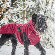 Одежда для питомцев собак, теплая пуховая куртка с хлопковой подкладкой, костюм, зимняя куртка для больших собак, куртка-Ретривер, Ropa Perro 2024 - купить недорого