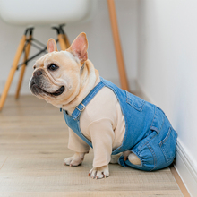 [МПК собака Джинсовые комбинезоны] собака, рабочие брюки из грубой бумажной ткани, собака, джинсы подходит для французских бульдогов, для собак Мопсов джинсы 2024 - купить недорого