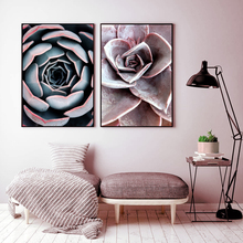 Poster Art Succulent Flower Scandinavian Nordic Art Decor Posters and Prints Wall Picture for Living Room Wall Art Canvas Print 2024 - buy cheap