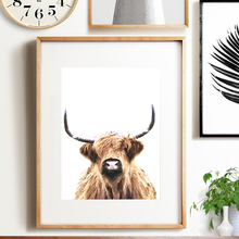 Posters and Prints Highland Cow Nordic Cattle Canvas Painting Art Wall Pictures for Living Room Scandinavian Home Decor No Frame 2024 - buy cheap