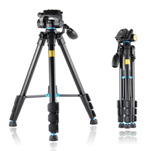 pro Q111 SLR digital camera DV camcorder tripod Q-111 portable tripod head Wholesale  free shipping 2024 - buy cheap