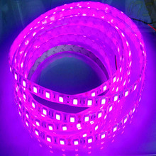 Cor roxo tira CONDUZIDA 5050 SMD 12 V luz flexível 60LED/m, 5 m 300LED, à prova d' água em revestimento de silicone; ip65; pcb branco 2024 - compre barato