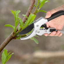 Bonsai Grafting Cutter Professional SK-5 Steel Scissors for Fruit Plant Pruning Shears Garden Tree Cutting Tool 2024 - buy cheap