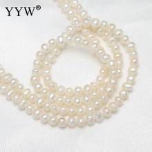 Natural Freshwater Pearl Loose Beads Potato white 3-4mm Necklace Bracelet Jewelry Gem Stone For DIY Making Spacer Beads 2024 - buy cheap