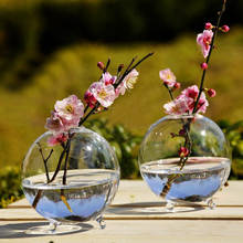 10 см прозрачная стеклянная ваза Террариум гидропонная круглая стеклянная ваза бутылка горшок цветок DIY домашний стол садовый декор 2024 - купить недорого