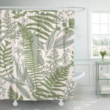 Fabric Shower Curtain with Hooks Green Fern Floral Pattern in Vintage Style Leaves and Plants Botanical Classic Drawing 2024 - buy cheap