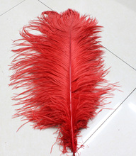 wholesale Quality 10pcs perfect Leniency Male red natural ostrich feather 12-14inch/30-35cm decorative diy 2024 - buy cheap
