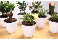 Automatic Self Watering Flower Plants Pot Put In Floor Irrigation For Garden Indoor Home Decoration Gardening 2024 - buy cheap
